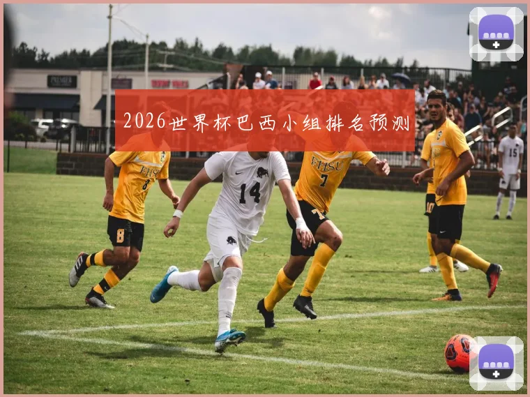 2026世界杯巴西小组排名预测