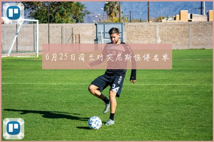 6月25日荷兰对突尼斯伤停名单